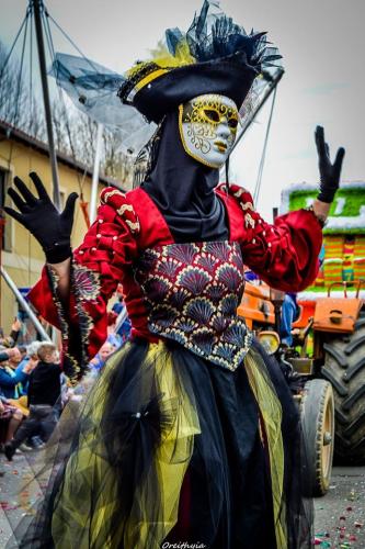 carnaval_fleurance_2015&16